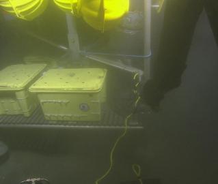 Hercules is working to release the lander 