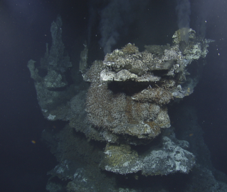The Grotto