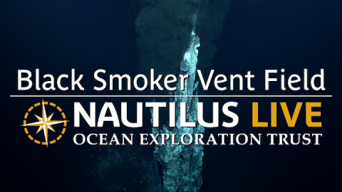 Black Smokers of Hadai Adai Vent Field