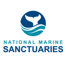 NMS logo